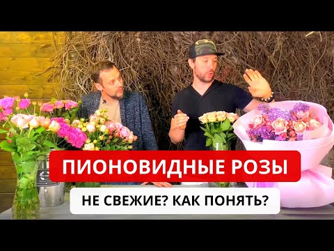 Видео: ПИОНОВИДНЫЕ РОЗЫ. Не свежие в букете? Как понять? Особенности, сорта, стойкость. Советы флориста.