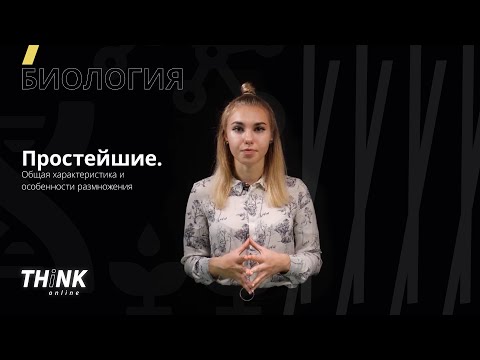 Видео: Простейшие. Общая характеристика и особенности размножения 2.0 | Биология
