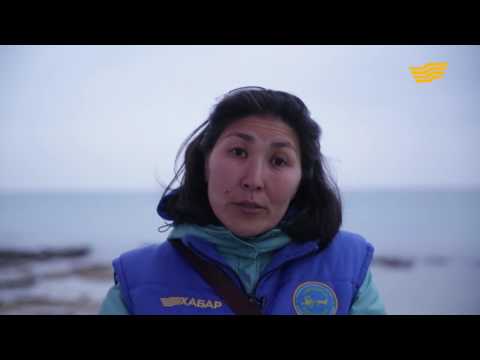 Видео: «Экспедиция 25». Плато Устюрт