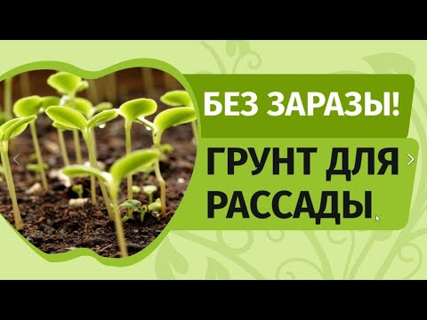Видео: Новый идеальный грунт для рассады - почвобрикеты. Земля без патогенов для посадки рассады.