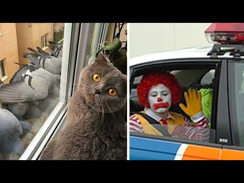 Видео: Да что вы знаете о безысходности? (2 серия)