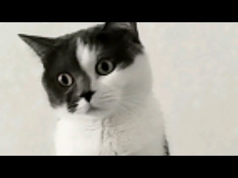 Видео: 2 серия; toca boca - это вы строение происходило такое на больнице на остальные друзья ПОМОЖЕШЬ 