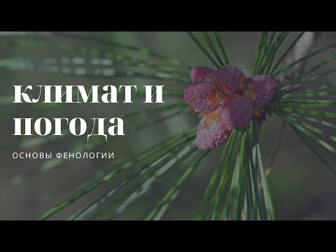 Видео: Вебинар 02 - Погода и климат (фенология местности). Введение