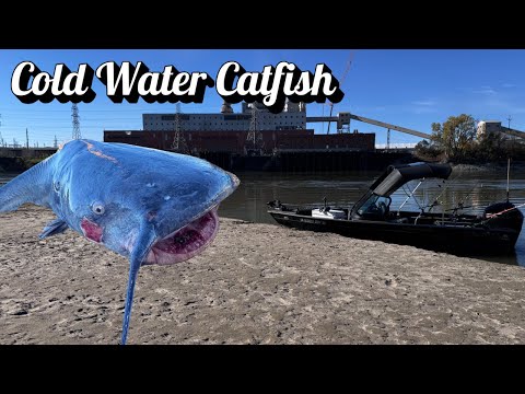 Видео: Как поймать большого синего сома на реке Миссури (приключение в одиночку)