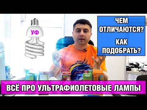 Видео: Ультрафиолетовые лампы — Какую купить для хамелеона, агамы, черепах и других рептилий