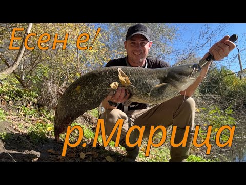 Видео: 🐟Един от най-силните ми риболови! Река Марица | Сом | 2хРаспер | Кефал | Catfish | Asp | Chub 🐟