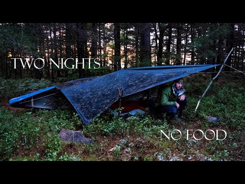 Видео: Двухдневное одиночное выживание без еды и с ограниченным снаряжением