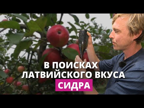 Видео: Латвия – страна сидра?