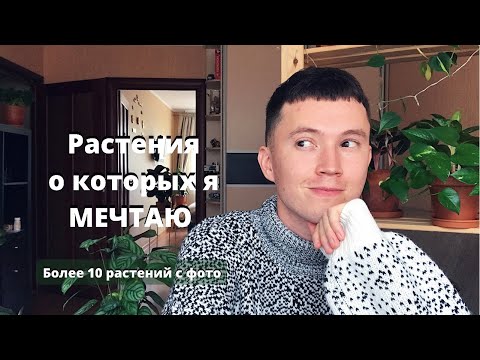 Видео: Мой Список Желаний » Комнатные Растения с Фото и Названием