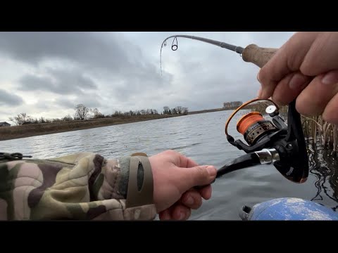 Видео: ОСЕННИЙ ЖОР ЩУКИ ПОРАДОВАЛ,рыбалка осенью 