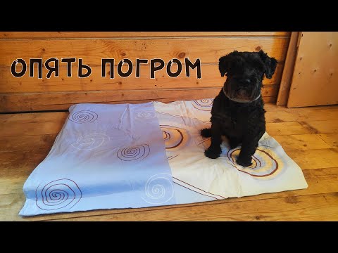 Видео: Разборка ТАЙНОЙ КОМНАТЫ - Тотоша лишился ДИВАНА