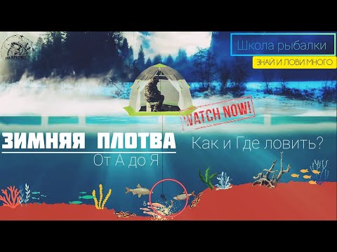 Видео: ПЛОТВА ЗИМОЙ. ГДЕ И КАК ЛОВИТЬ? ЗНАЙ И ЛОВИ МНОГО! #рыбалка #плотва #зимняярыбалка