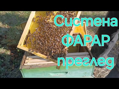 Видео: Система ФАРАР преглед на кошера пчели 30.07.2024