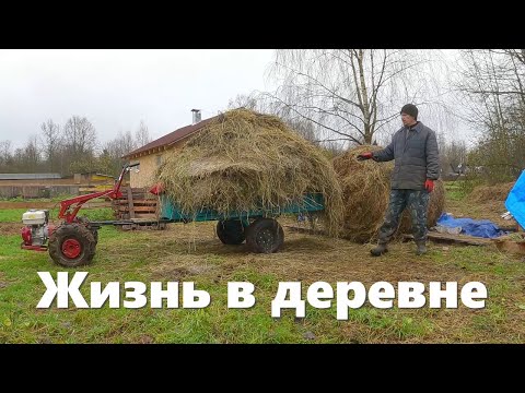 Видео: Временная прибавка в хозяйстве, "другое" сено, работа нового коровника и деревенские будни!