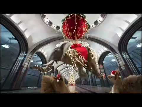 Видео: Новогодние заставки «Слон и белки» (Первый канал, 2024-2025)