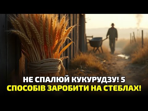 Видео: Не спалюй кукурудзяне поле! Ти викидаєш золото просто під ноги!
