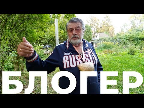 Видео: ПАПА БЛОГЕРА