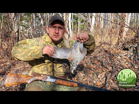 Видео: Охота на рябчика. Работа с самкой. Удачно закрываю осенний сезон в Михайловке