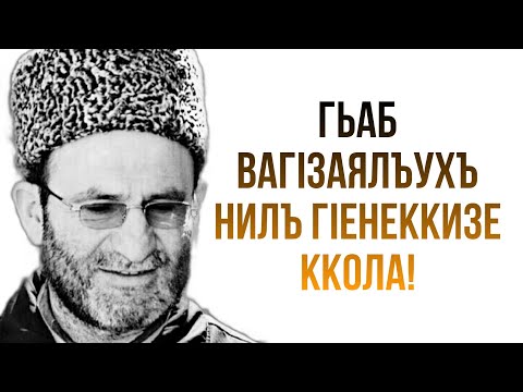 Видео: Гьаб вагIзаялъухъ нилъ гIенеккизе ккола!