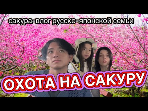 Видео: 『ЯПОНСКИЙ ВЛОГ』 ПОЕХАЛИ ПОСМОТРЕТЬ САМУЮ  РАННЮЮ  САКУРУ