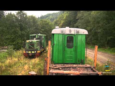 Видео: Вигодська вузькоколійка, ТУ4-1695 / Schmalspur waldbahn in Vygoda