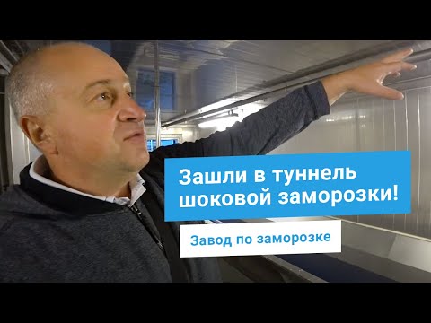 Видео: IQF туннель шоковой заморозки овощей TZF от Unidex - сердце технологической линии завода! Обзор.