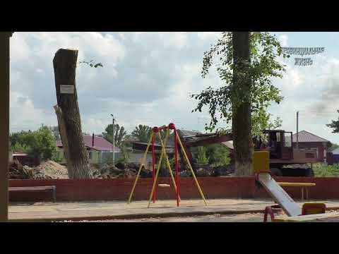 Видео: Реконструкция парка (подготовительные работы)