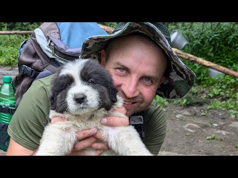 Видео: Кваси 2024