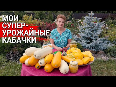 Видео: Мои супер-урожайные кабачки