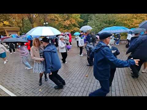 Видео: 12.10.25г... "Ну почему, Меня Ты  Не  Целуешь?"... звучит в Гомельском парке... 