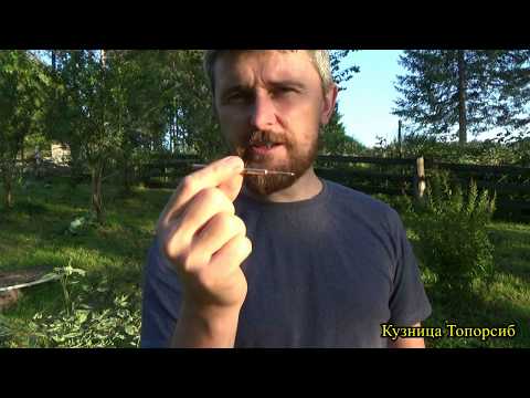 Видео: Плотницкая черта