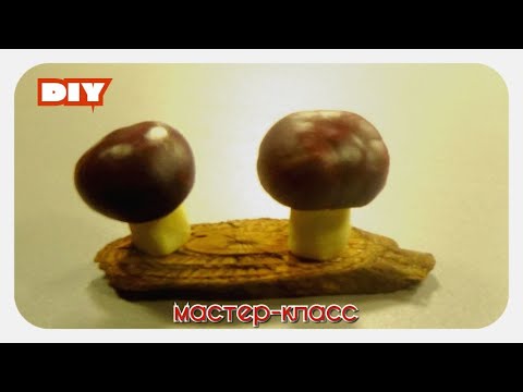 Видео: Гриби з  каштанів || Мастер - класс. Как просто сделать грибы из каштанов