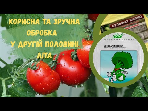 Видео: Чим обробити томати та інші рослини у другій половині літа