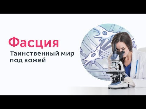 Видео: Фасция. Таинственный мир под кожей