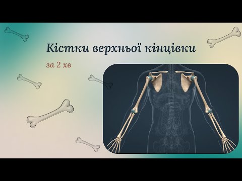 Видео: верхня кінцівка коротко