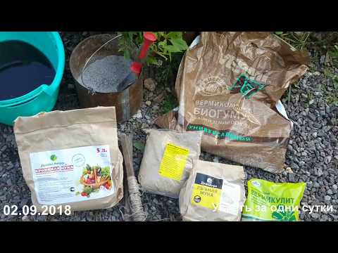 Видео: 02.09.2018.  ОМОЛОЖЕНИЕ СТАРОЙ КЛУБНИЧНОЙ ГРЯДКИ