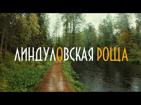 Видео: ЛИНДУЛОВСКАЯ РОЩА | Звуки природы | ЛЕНИНГРАДСКАЯ ОБЛАСТЬ