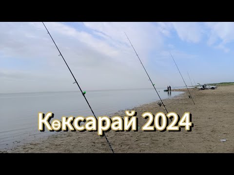 Видео: 2024тің бірінші балығы. Көксарайдан балық аулау , маса көп. Рыбалка в Коксарайе 2024