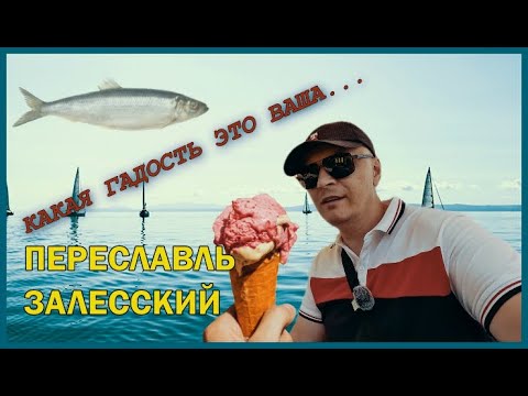 Видео: Впервые пробую мороженое со вкусом селедки | Древний город Клещин