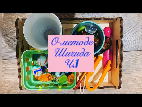 Видео: Методика раннего развития Макато Шичида.Часть 1.О системе в целом. Как заниматься по ней с ребёнком.