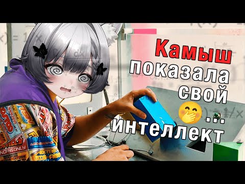 Видео: Камыш проходит IQ-тест и разыгрывает ключи для Stellar Blade | Highlights