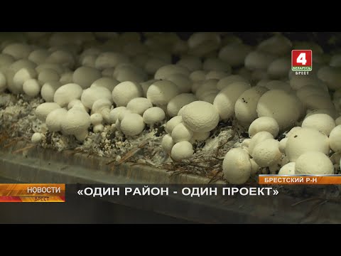 Видео: «ОДИН РАЙОН - ОДИН ПРОЕКТ»