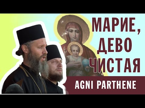 Видео: МАРИЕ, ДЕВО ЧИСТАЯ | AGNI PARTHENE | ХОР БРАТИИ ВАЛААМСКОГО МОНАСТЫРЯ