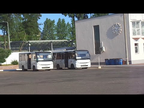 Видео: Автобус №212. Витебск - АС Городок (с заездом на Витебскую турбазу)