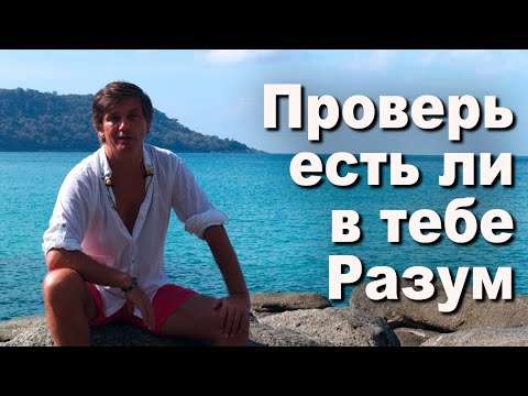 Видео: Проверь, есть ли в тебе разум | Чем ум отличается от разума