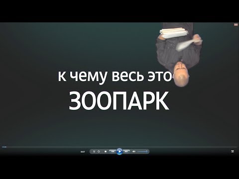 Видео: Вин Чунь... Зачем весь этот ЗООПАРК