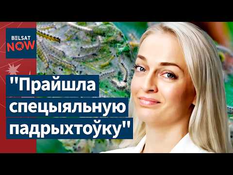Видео: Мельникову обвинили в работе на спецслужбы. Ремонт на АЭС. БМВ въехал в киоск в Минске / Новости
