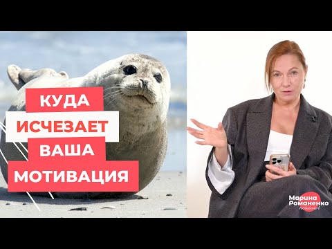 Видео: Куда исчезает ваша мотивация? Ответ удивит