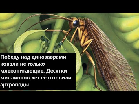 Видео: Победу над динозаврами ковали не только млекопитающие. Десятки миллионов лет её готовили артроподы