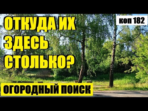 Видео: или НАХОДКИ ПРОДОЛЖАЮТ РАДОВАТЬ. коп 182